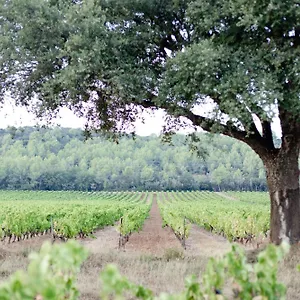 Domaine De Sigalous La Crau