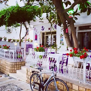 Séjour chez l'habitant Agan Bodrum